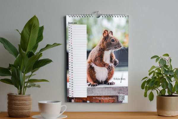 Der Kalender ist da!