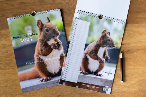 Zwei Kalender auf einer Holztischplatte. Einer aufgeklappt. Daneben ein Kugelschreiber.
