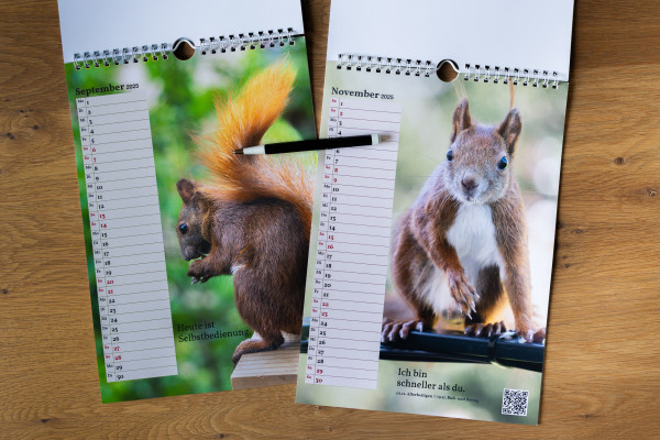 Zwei Kalender auf einer Holztischplatte. Einer aufgeklappt. Daneben ein Kugelschreiber.